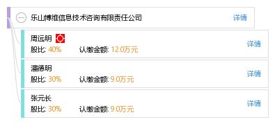 信息技术咨询服务的专业解决方案 乐山博维信息技术咨询有限责任公司